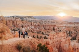 Four people stare out into a vast canyon