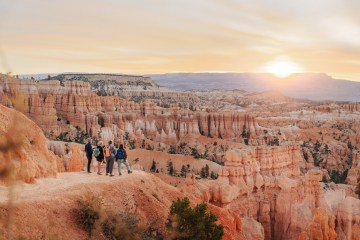 Four people stare out into a vast canyon