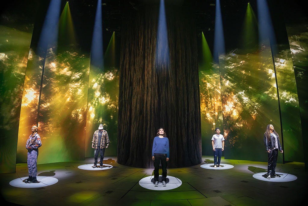 Five people stand in spotlight on a stage around a massive tree trunk.