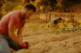 Spencer Scott & Nick Schwanz for Wild Ideas Worth Living