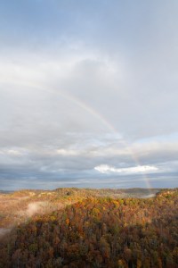 A rainbow over a tree-covered landscape