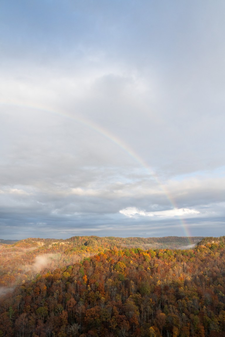 A rainbow over a tree-covered landscape