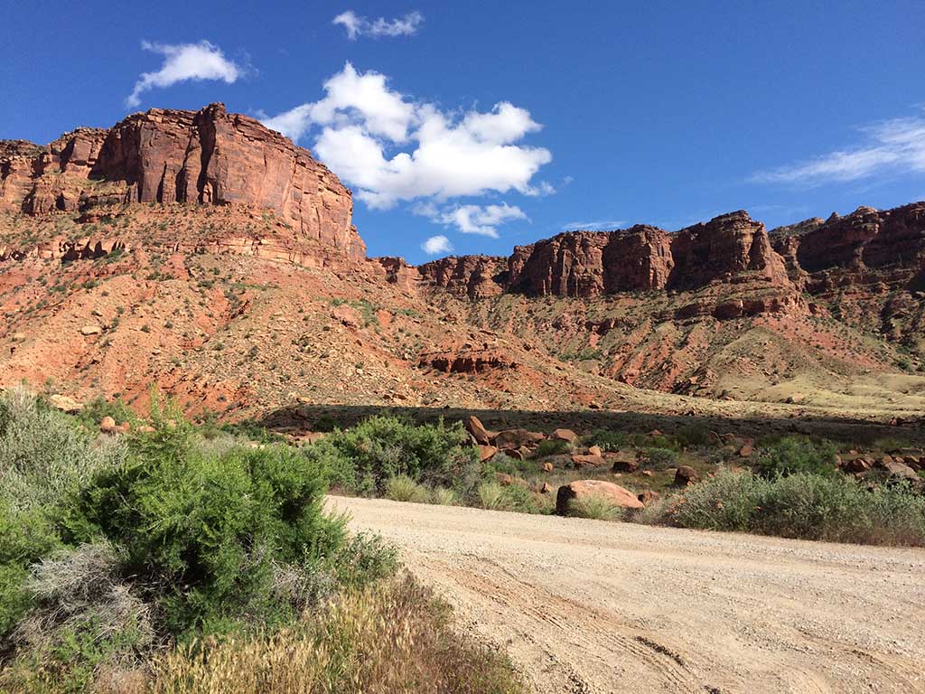 A landscape in Zion National Park