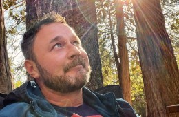 A person wearing a rainbow shirt sits among the trees, looking up at the canopy