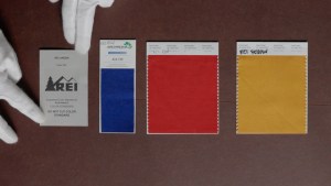 Swatches from the REI color palette, including blue red and yellow.