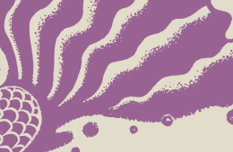 Mermaid of Moon Lake: Part 2