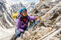 Wasfia for Wild Ideas Worth Living