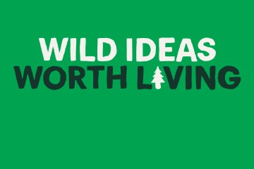 From Road Racing to Ultras with Marathon Legend Des Linden