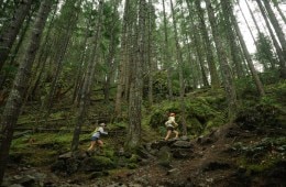 Two people running in on a trail in a forest