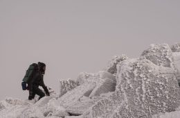 Mardi Fuller for WIWL