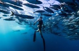 Spearfishing, Motherhood, and Cooking What You Catch with Kimi Werner