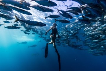 Spearfishing, Motherhood, and Cooking What You Catch with Kimi Werner