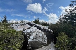 Photo of a rocky trail in North Carolina.