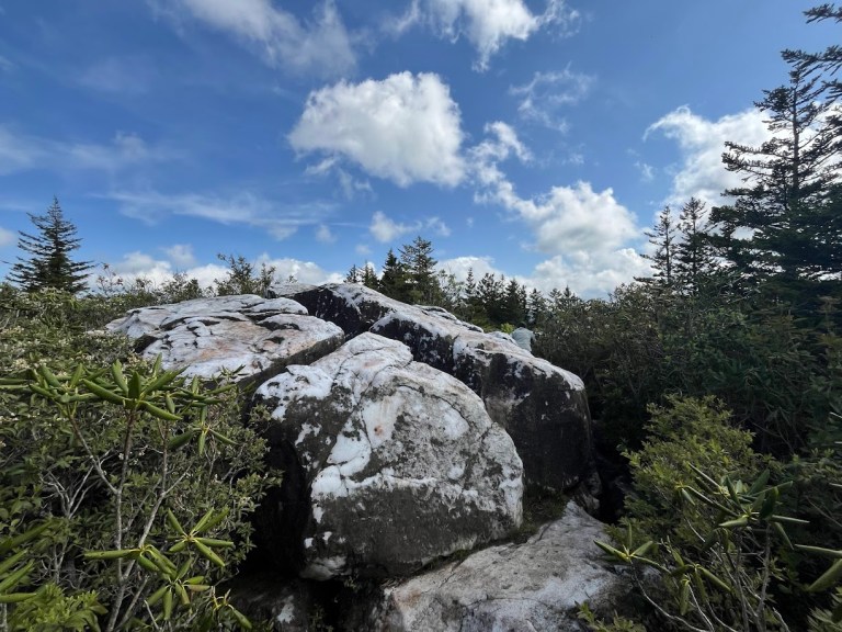 Photo of a rocky trail in North Carolina.