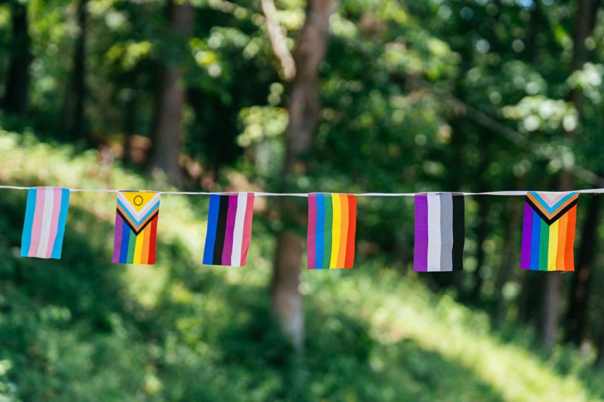 A string of different pride flags hangs in a wooded area.