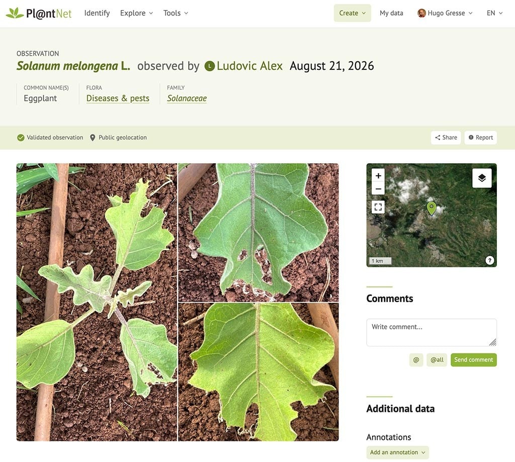A screenshot of an app that helps someone identify various plant species using photographs
