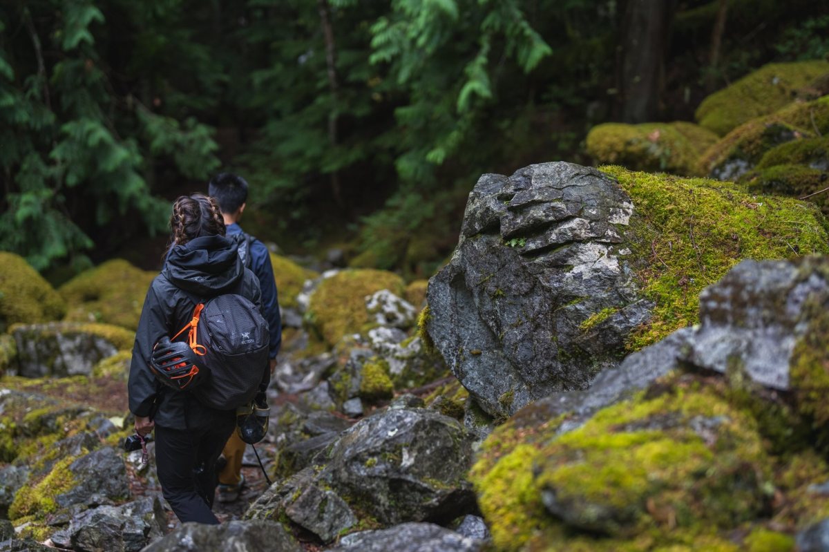 A climber walks through a dense forest with moss-covered boulders.