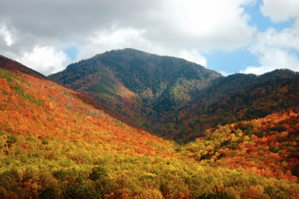 A shot between peaks covered in color-changing deciduous trees.