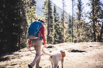 A person and a dog on a leash walk down a trail surrounded by pine trees