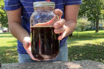 A person standing outside at a coffee table holds a jar of finished and filtered cold-brew concentrate at the camera