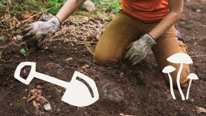 National Public Lands Day
