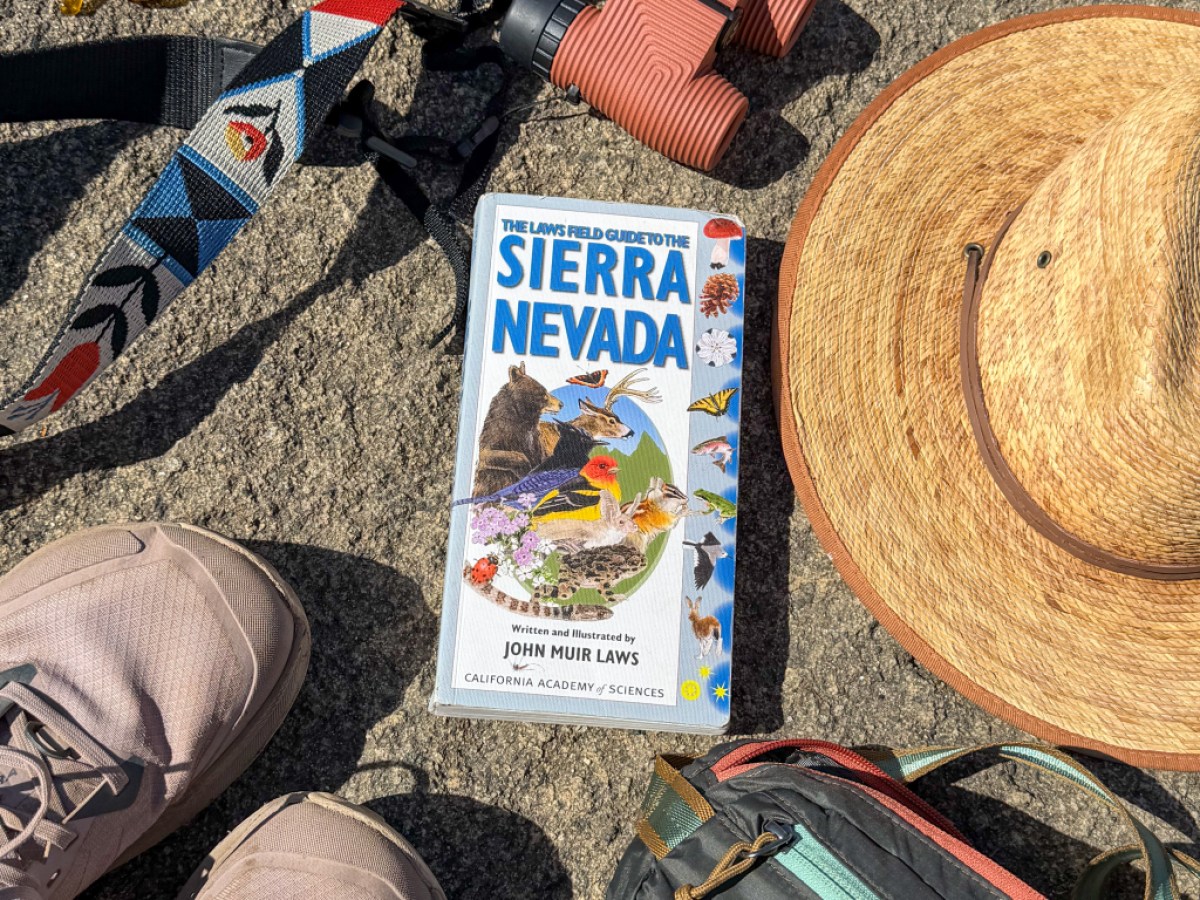 A guidebook to the Sierra Nevada sits on a rock, alongside a straw hat.