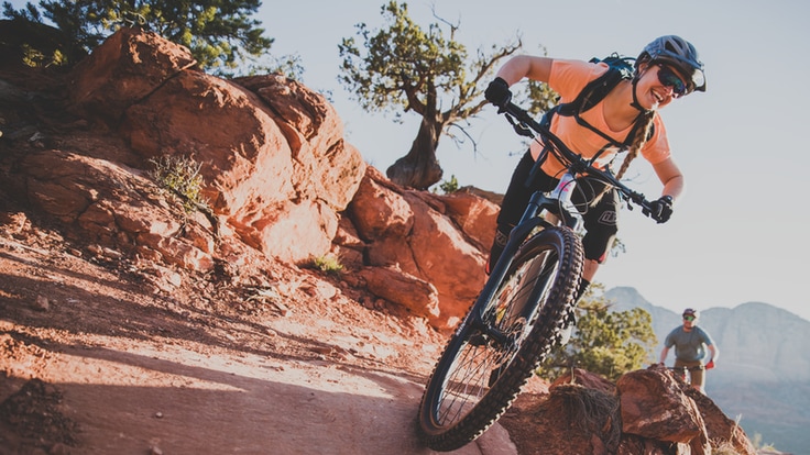 top 10 mountain bike makes