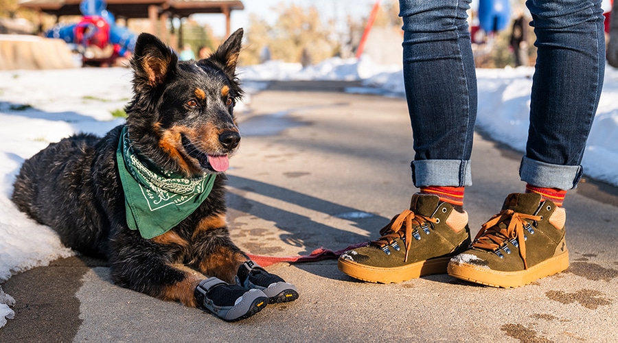 rei dog shoes