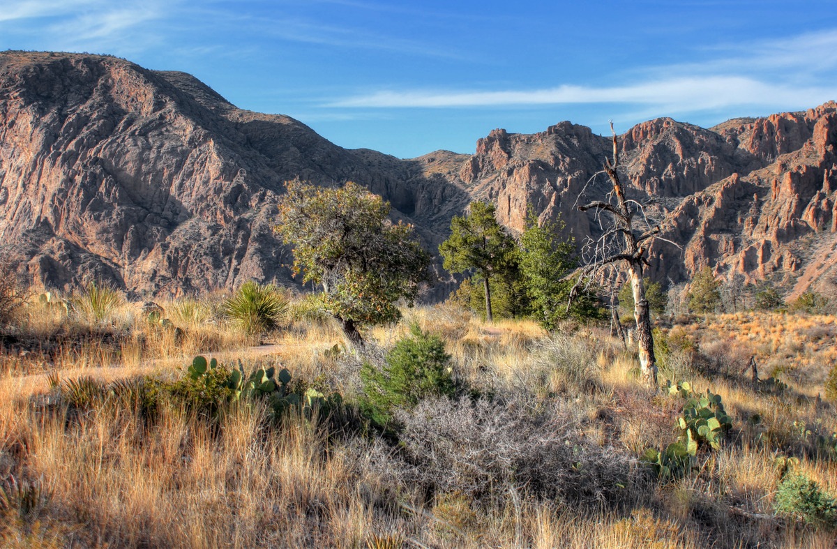 Big bend hiking tours clearance