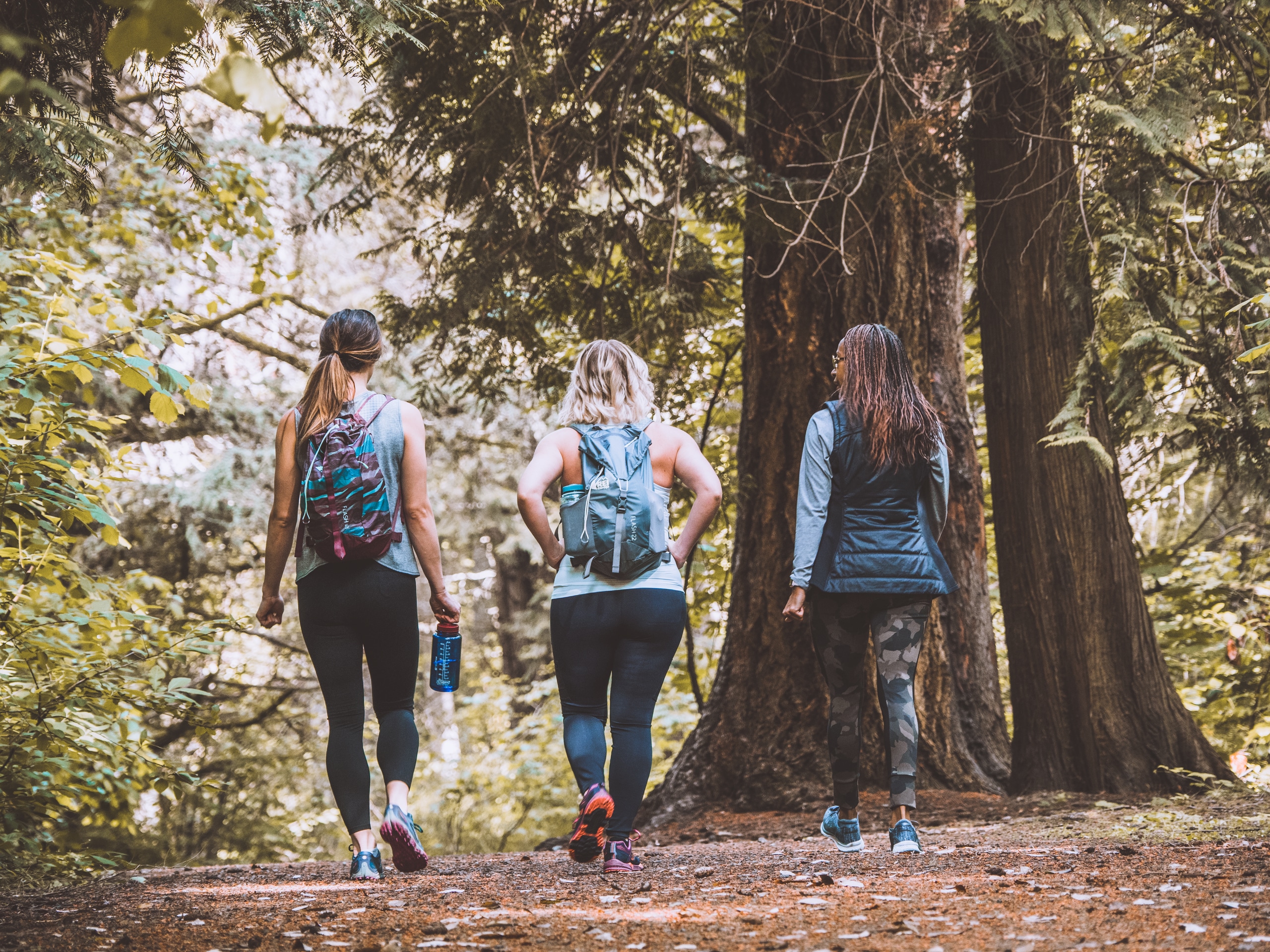 Three hikers enjoy a trail through the forest in Seattle