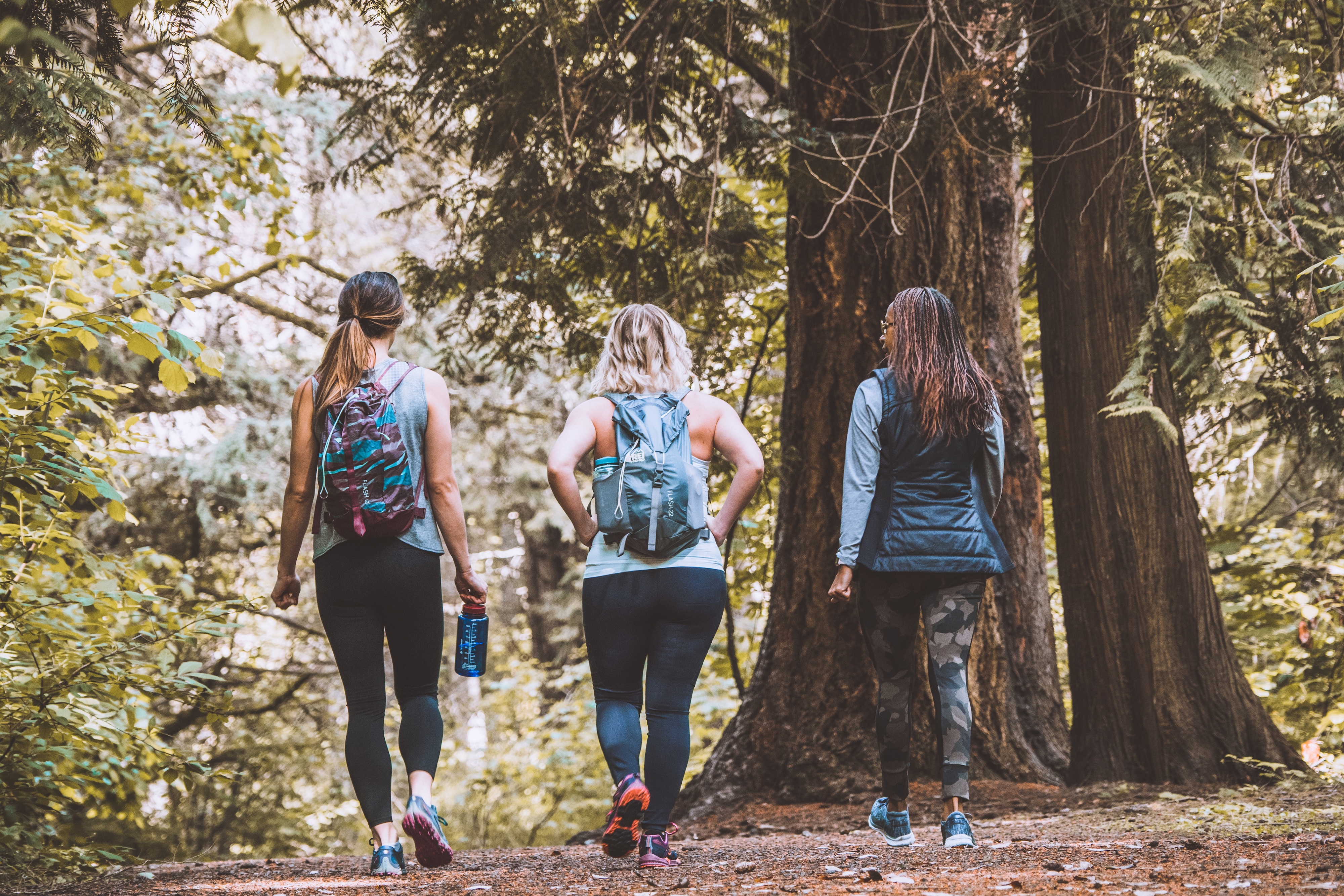 Three hikers enjoy a trail through the forest in Seattle