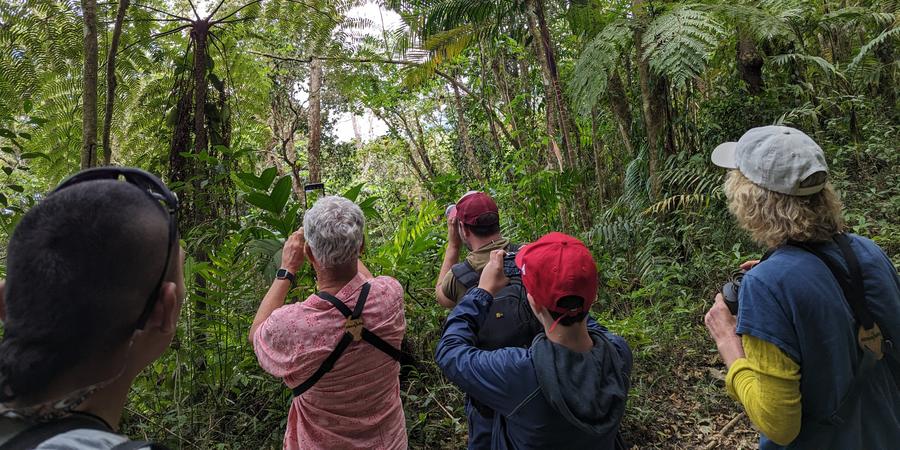 Birders in Colombia