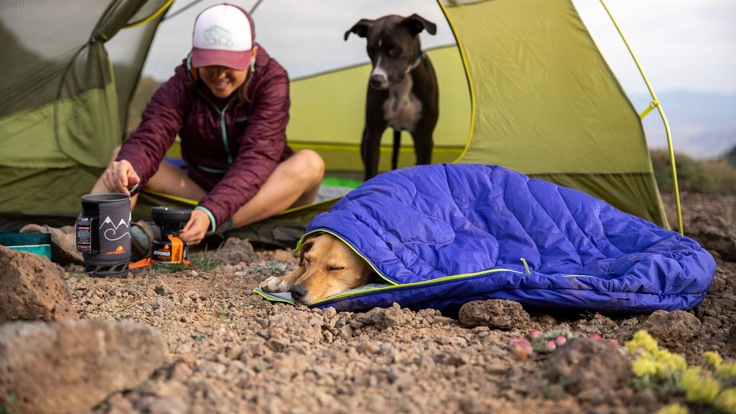 Man and dog gifts online