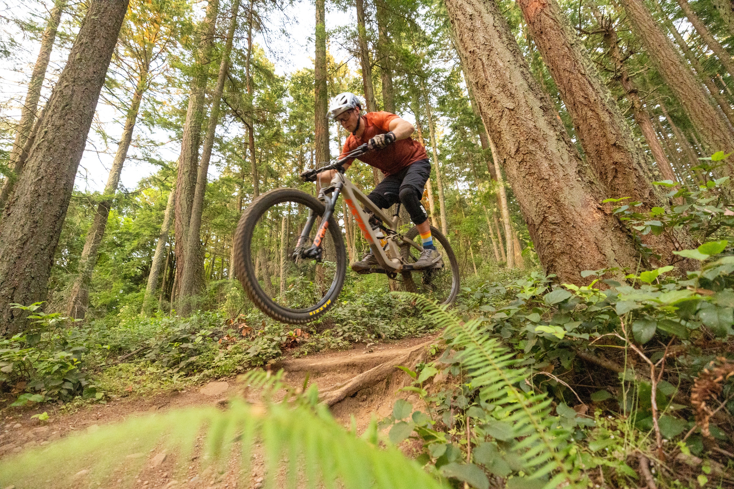 A mountain biker hits a jump on singletrack