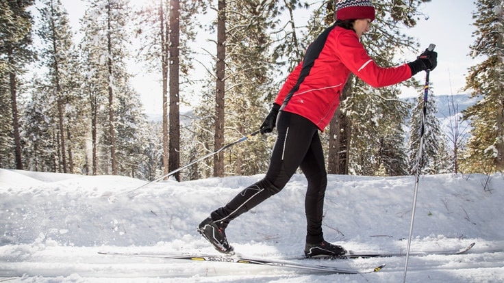 a cross-country skier on the trail
