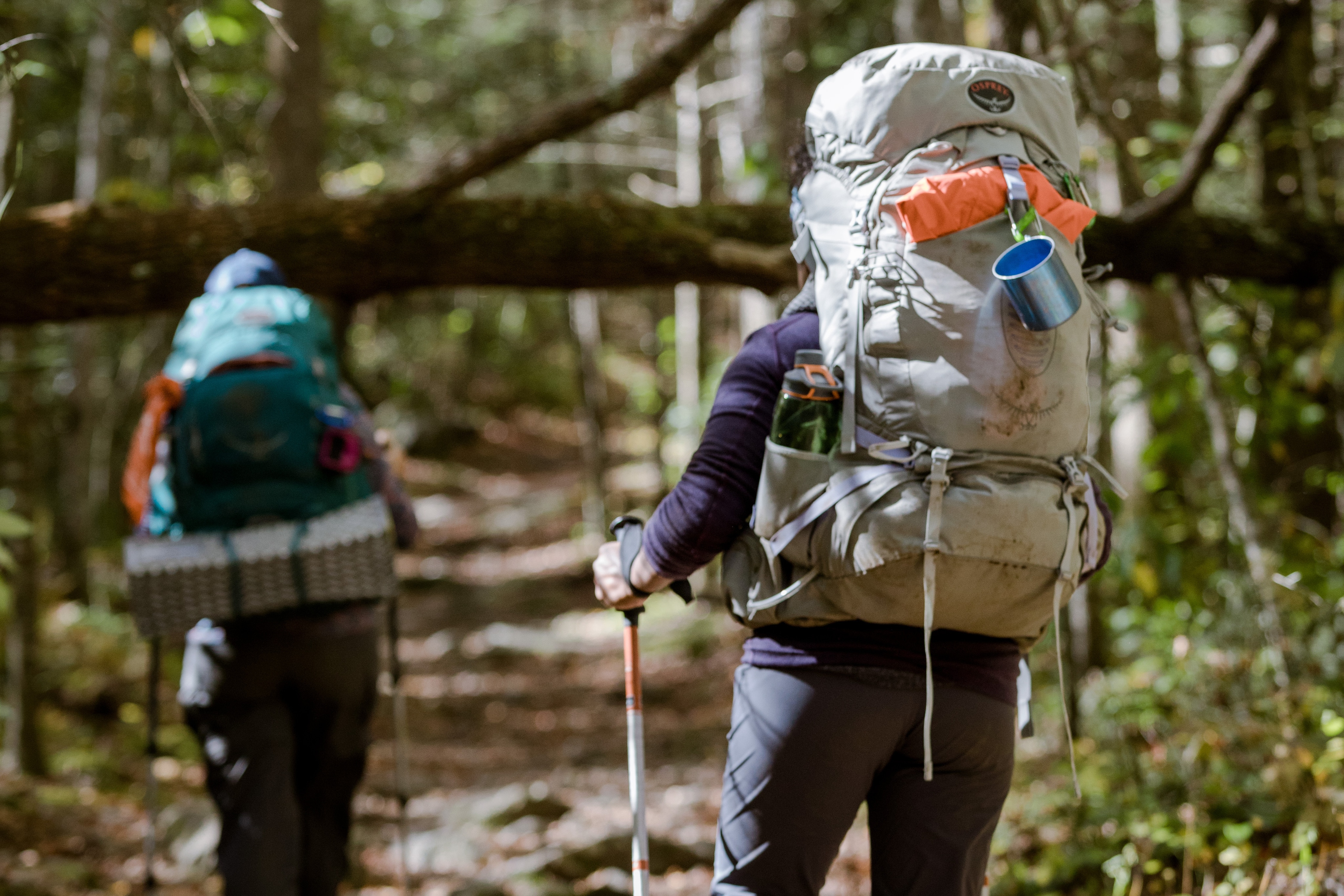 Two backpackers