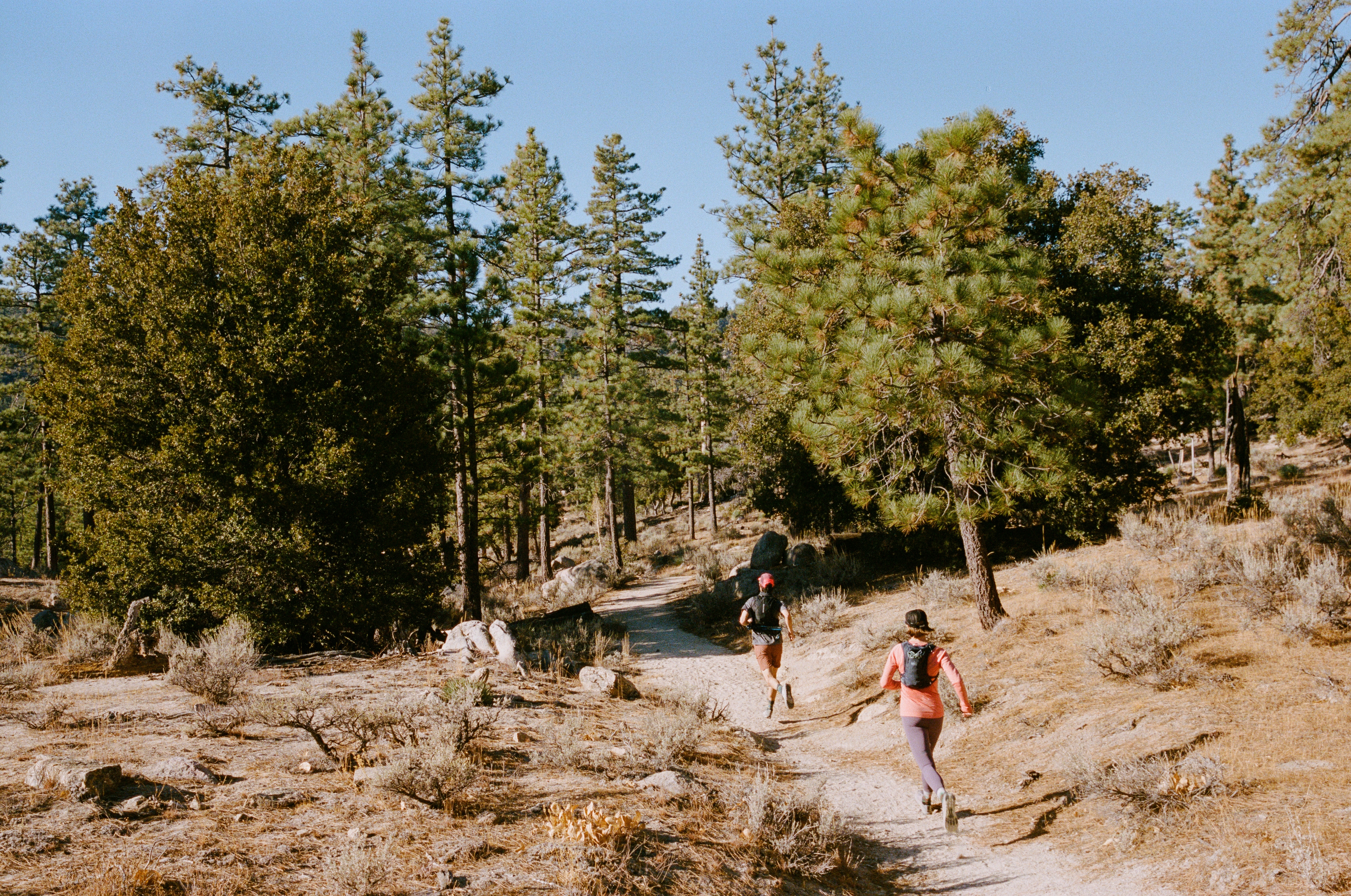 Two people run along a trail on a sunny day.