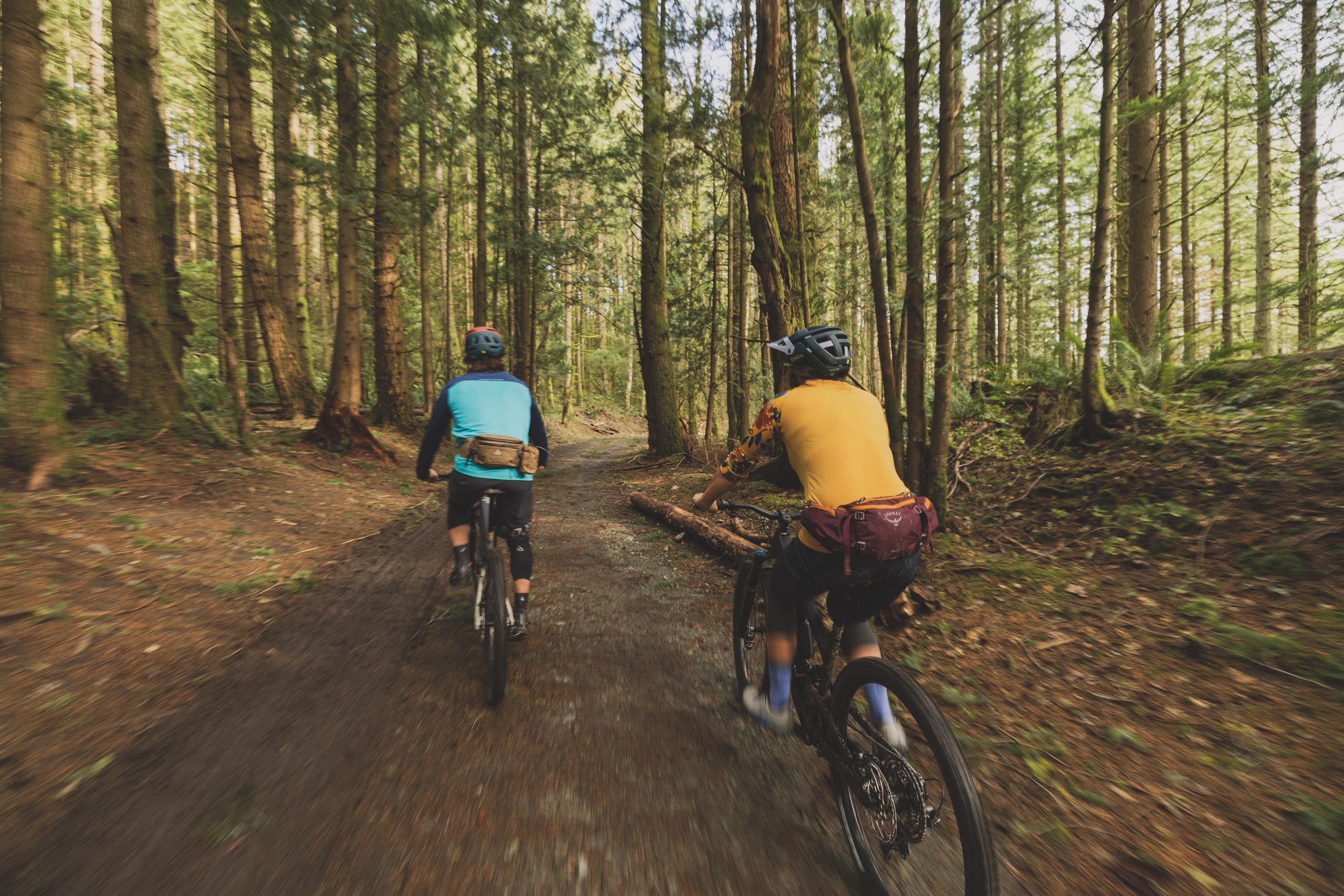 Two mountain bikers ride down a dirt trail in the woods 