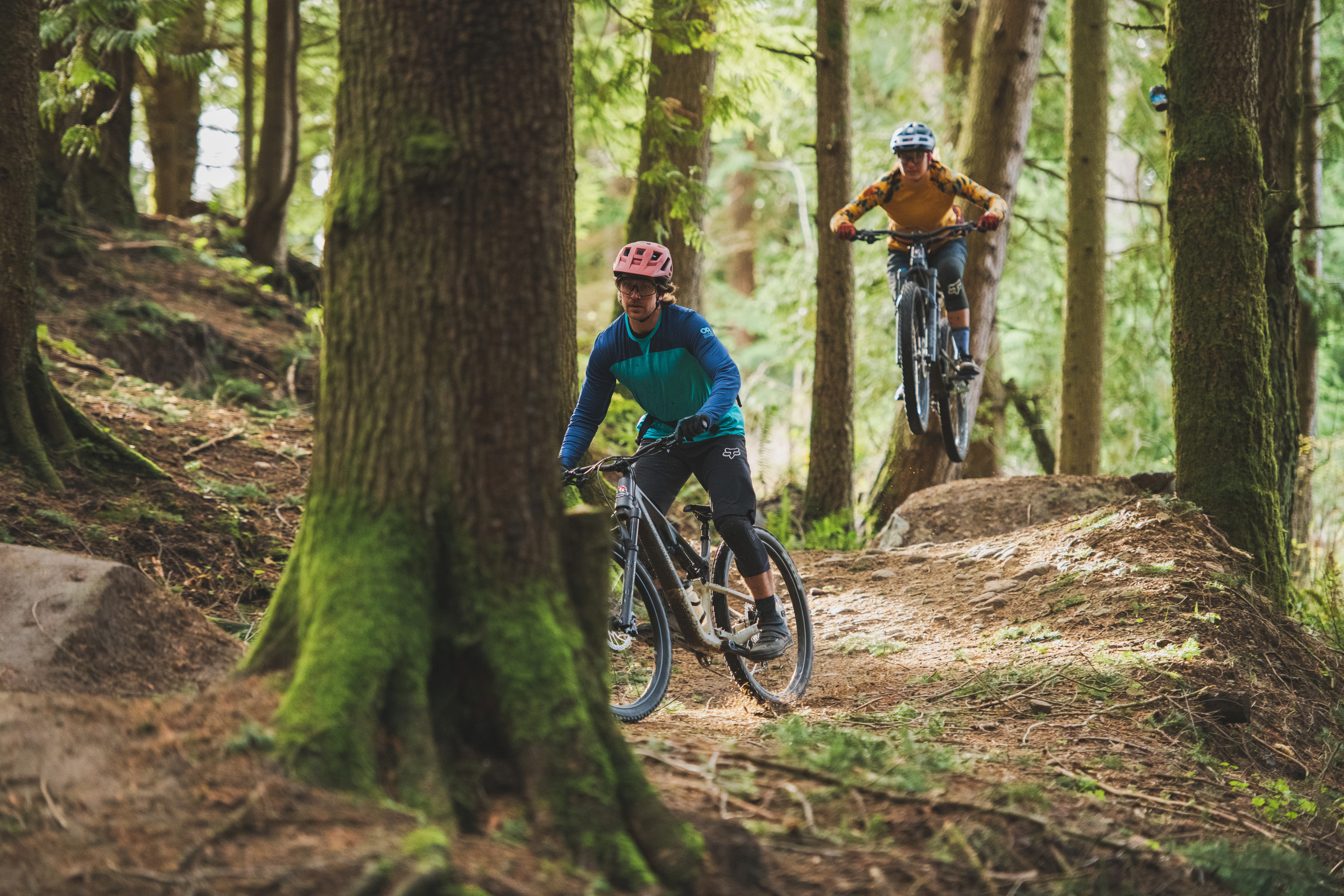 cyclists in the woods riding mountain bikes