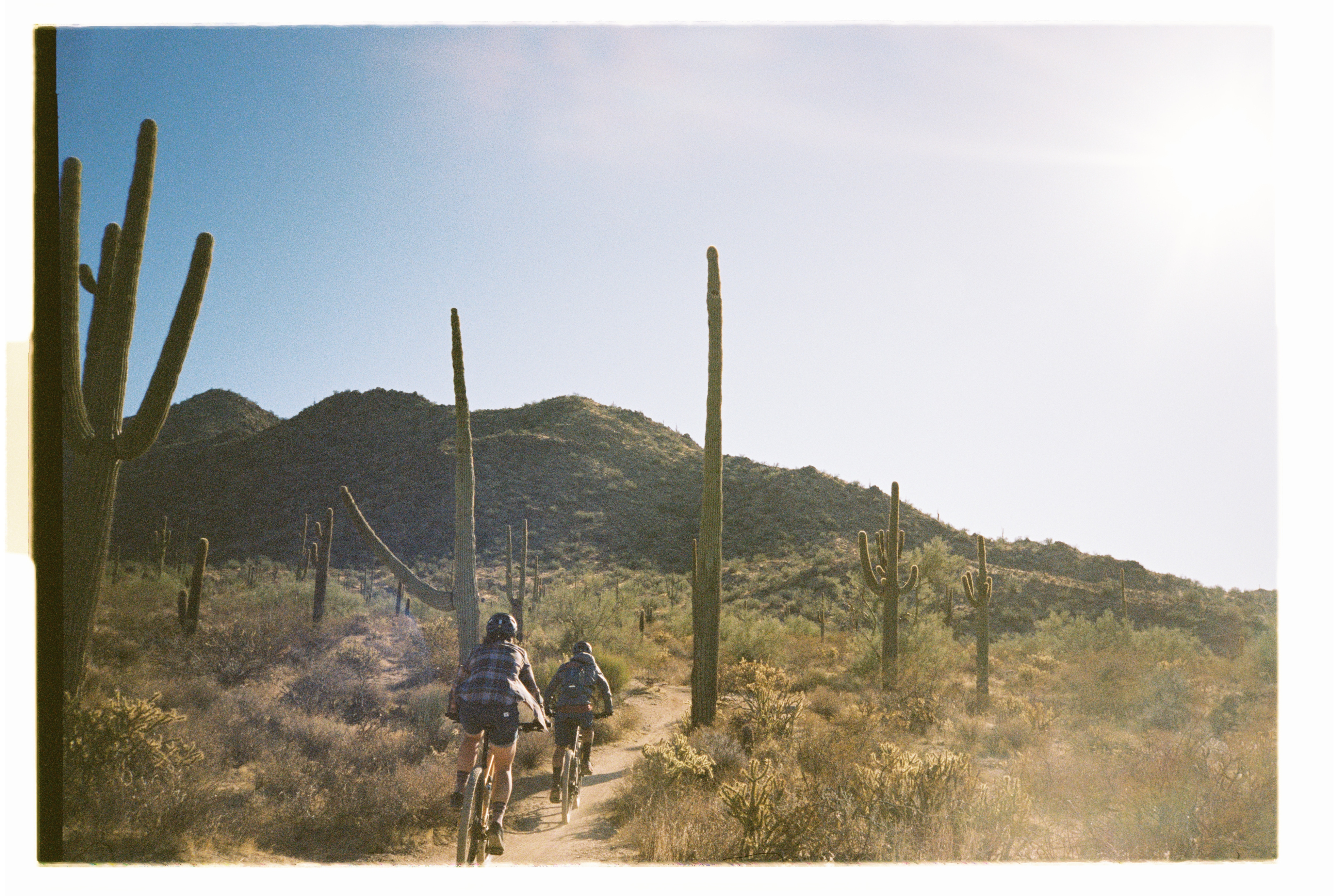 Two cyclists ride through a desert trail surrounded by cacti.