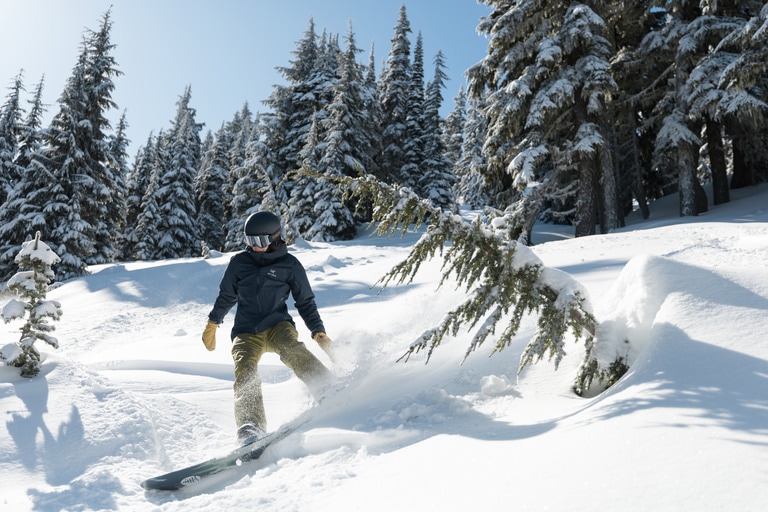 A snowboarder finds a stash of powder in the trees