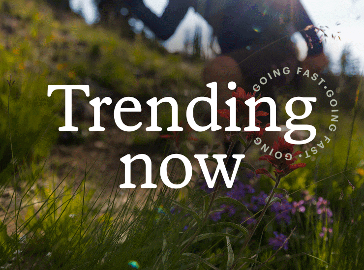 Trending now