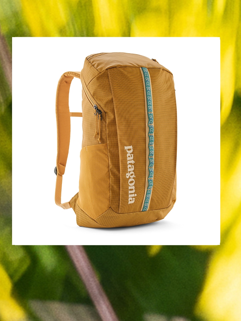 A Patagonia backpack over and image of flowers.