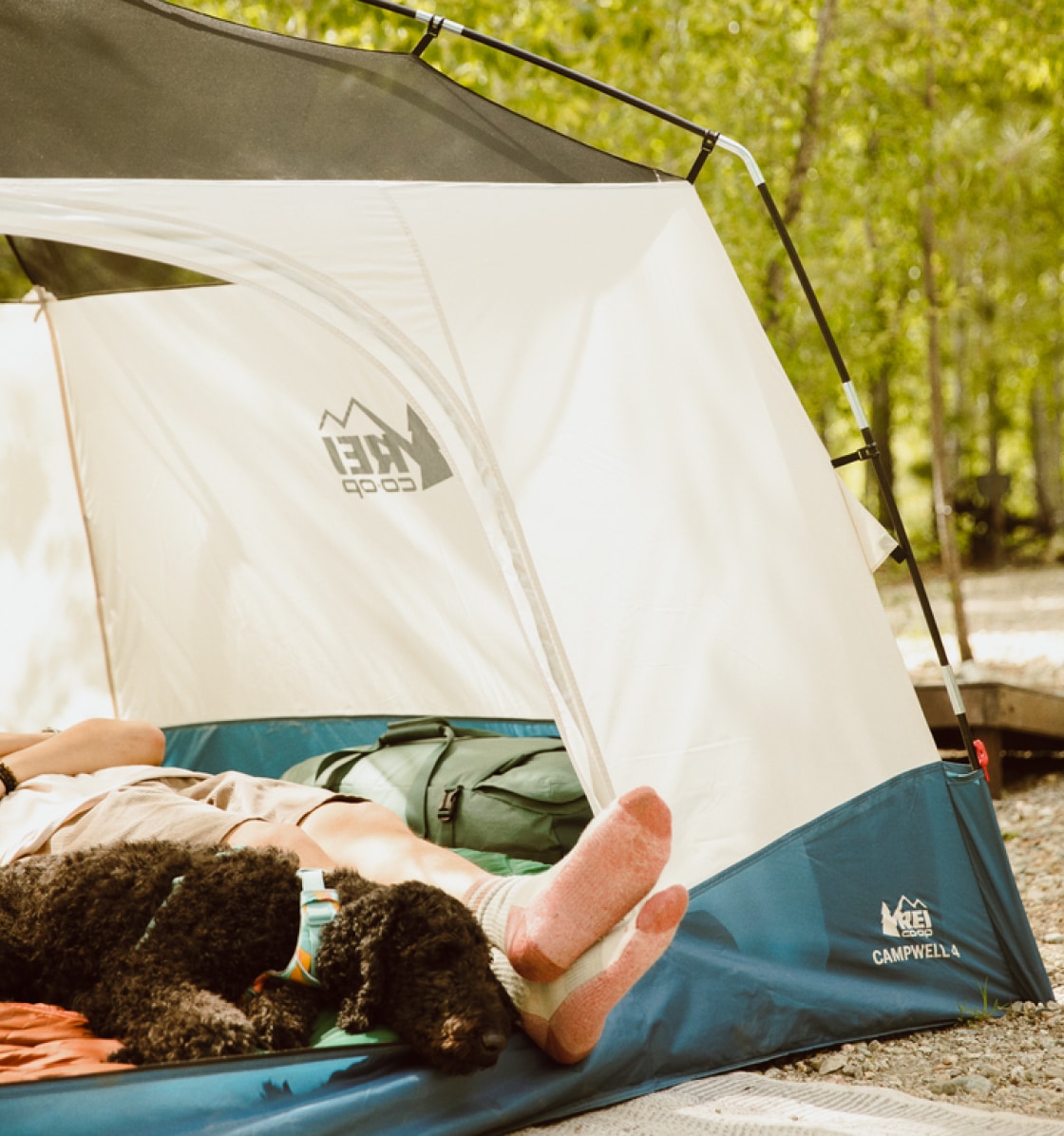 A person relaxes with their dog inside of a tent.
