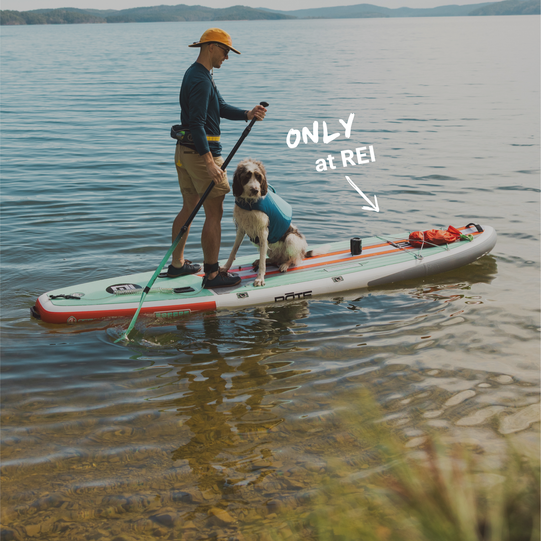 A person takes their paddle board out on the water with their dog.