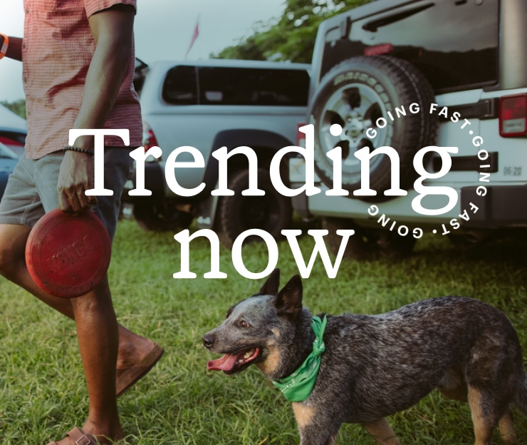 Going fast! Headline: Trending now