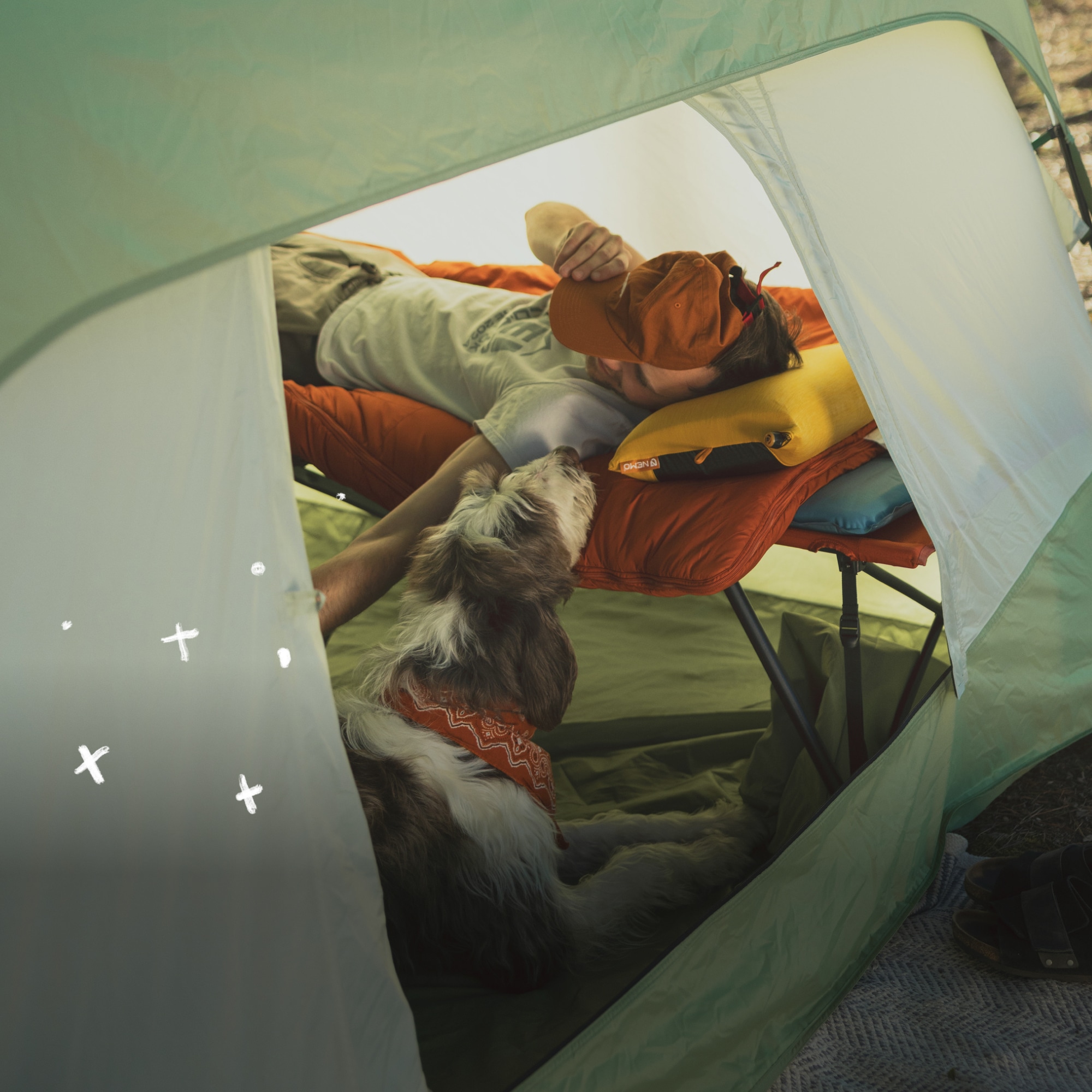 A person lays on a cot inside of their tent while a very good pup lays on the ground.
