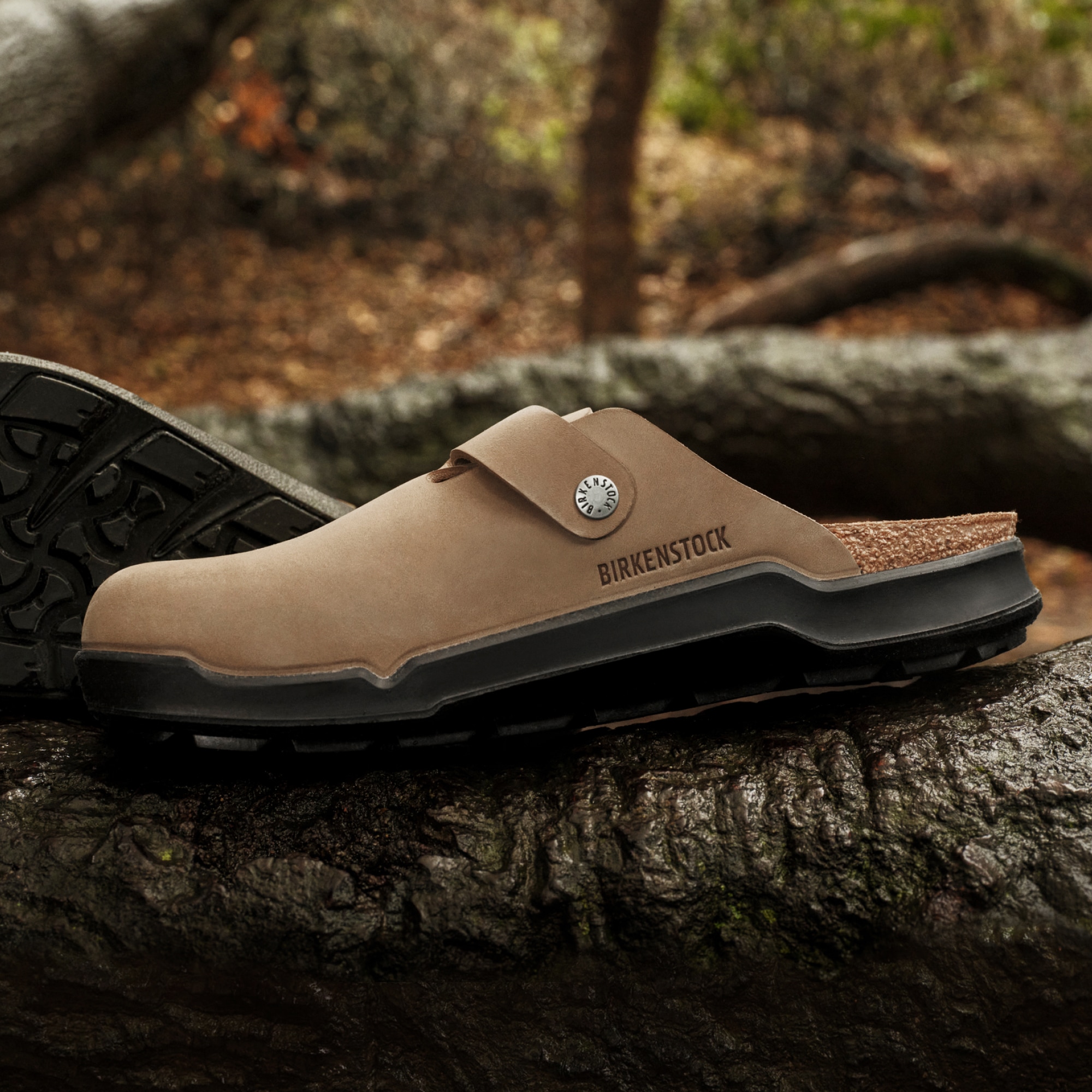 The new Boston Crosstown clogs sitting on top of a tree trunk with a forest in the background.