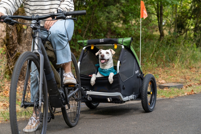 A person rides a bike on a paved trail with a dog in a pet trailer hitched to it