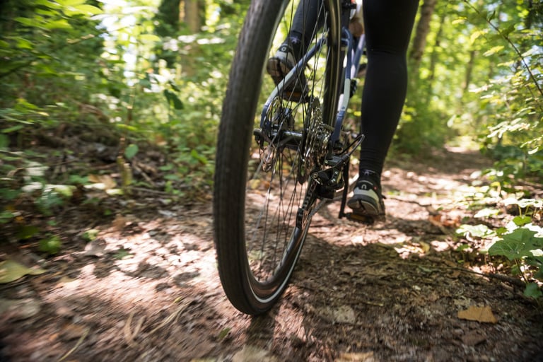 A hybrid bike on a dirt path